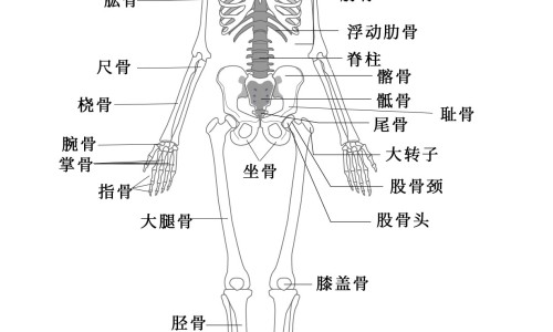 鼻炎激光价格多少费用多少钱网 :分享鼻炎激光手术多少钱-鼻炎激光一般做几次知识